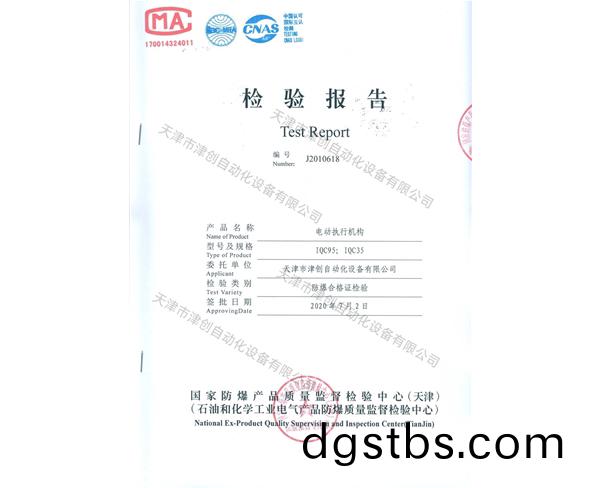 檢驗(yan)報(bao)告(gao)